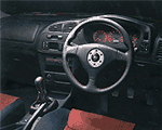 evo_c.gif (11809 bytes)